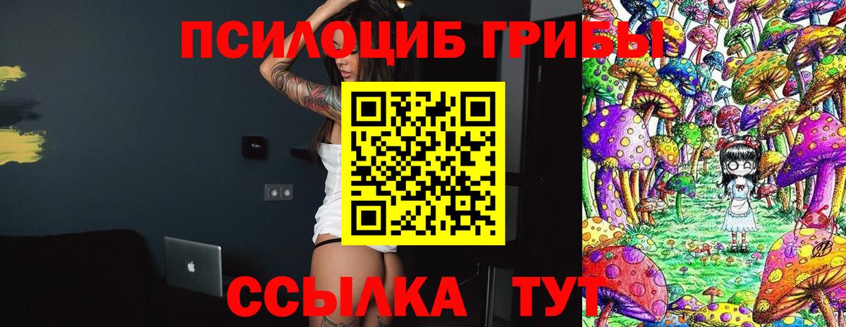 Псилоцибиновые грибы Magic Shrooms  Галлюциногенные грибы Magic Shrooms  Камышин  Вход с VPN 